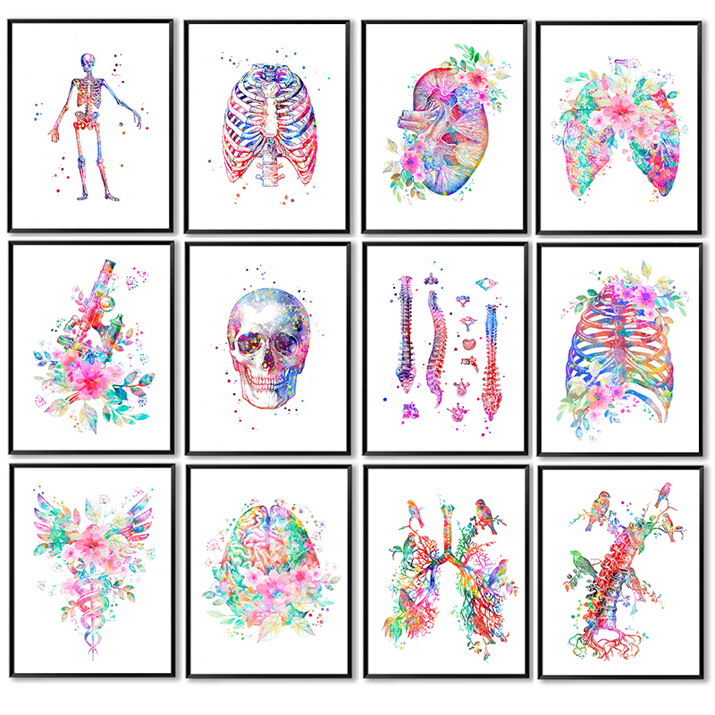 Medical Lab Posters - Póster médico de anatomía, arte de