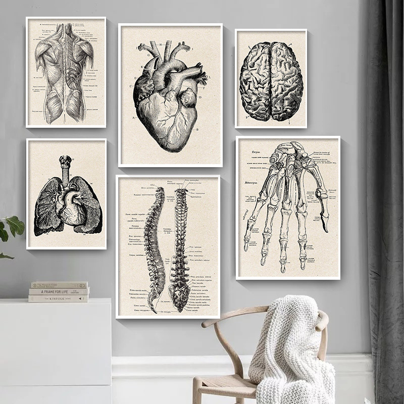 Medical Lab Posters - Póster artístico en lienzo con ilustraciones