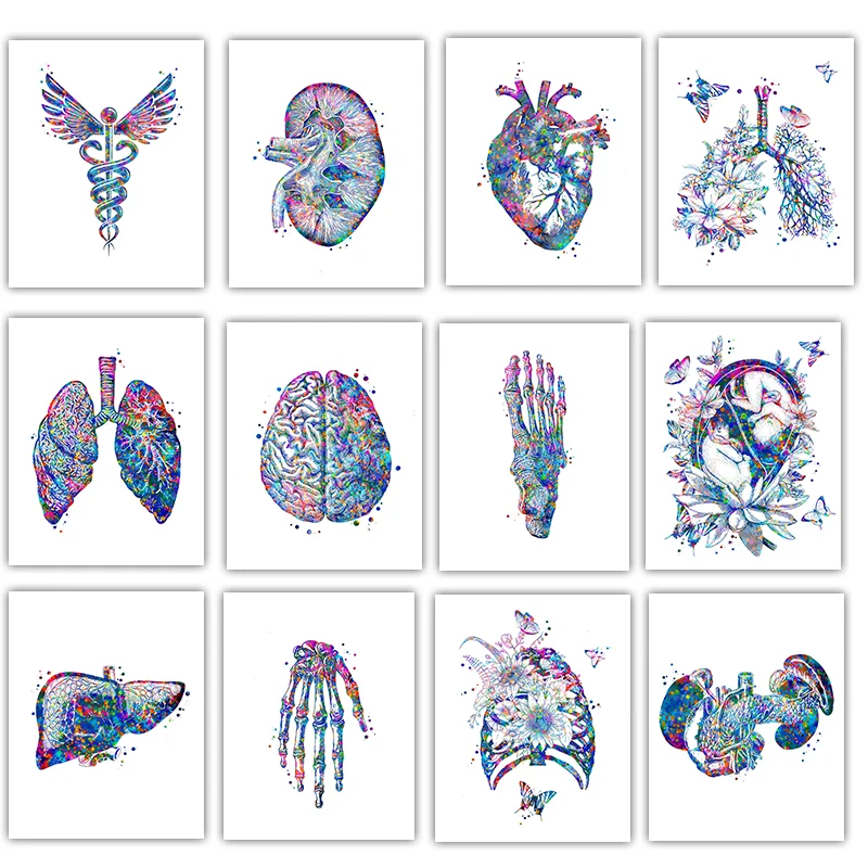 Anatomy Medical Poster Flower  - Medical Lab Posters reseña y precio
