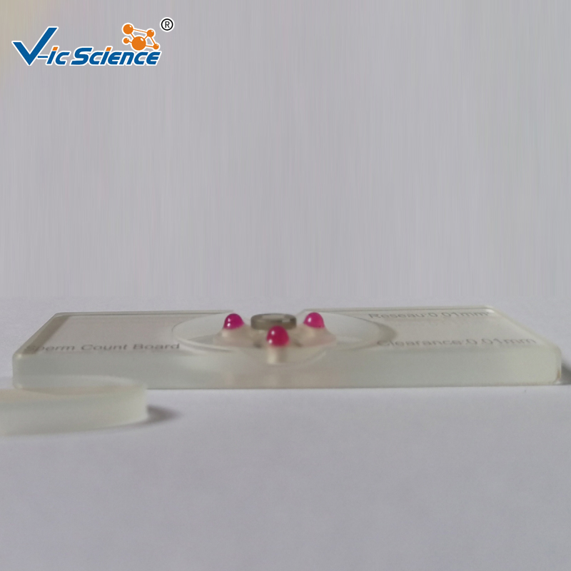 Cámara de Recuento de Esperma  - Medical Lab Board reseña y precio